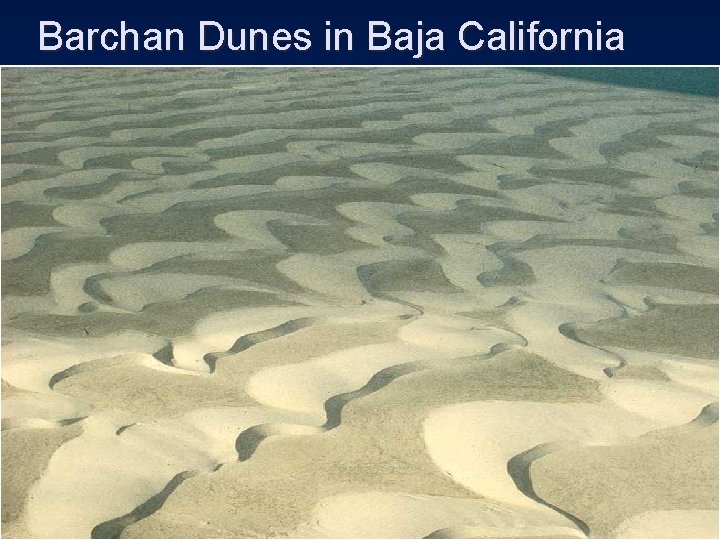 Barchan Dunes in Baja California 