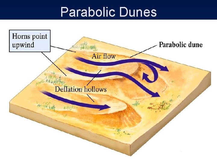 Parabolic Dunes 