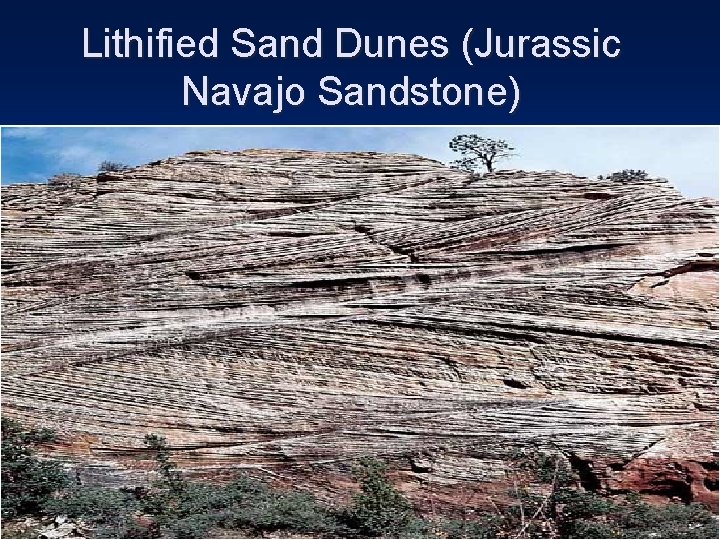 Lithified Sand Dunes (Jurassic Navajo Sandstone) 