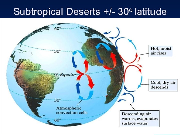 Subtropical Deserts +/- 30 o latitude 