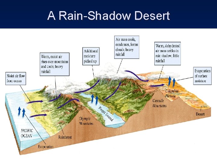 A Rain-Shadow Desert 