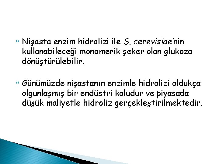  Nişasta enzim hidrolizi ile S. cerevisiae’nin kullanabileceği monomerik şeker olan glukoza dönüştürülebilir. Günümüzde