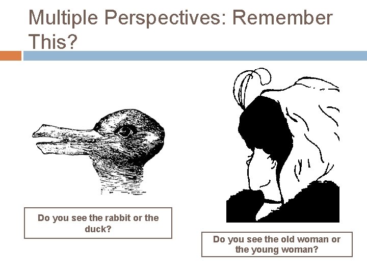 Multiple Perspectives: Remember This? Do you see the rabbit or the duck? Do you