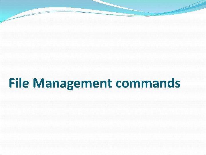 File Management commands 