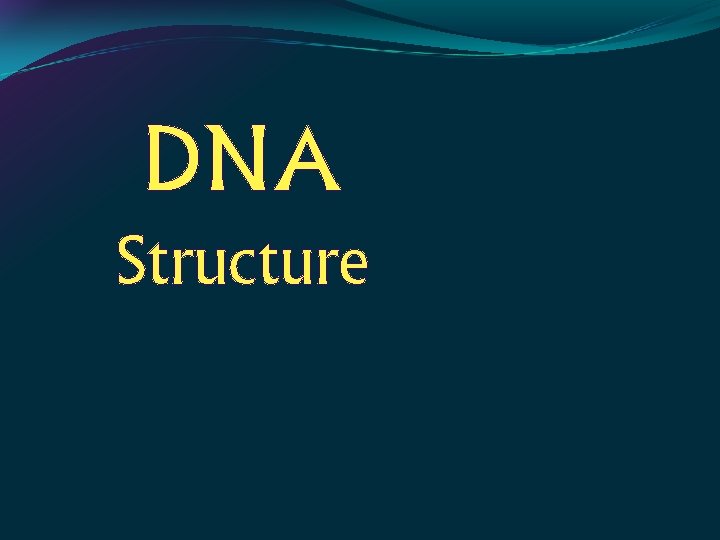 DNA Structure 