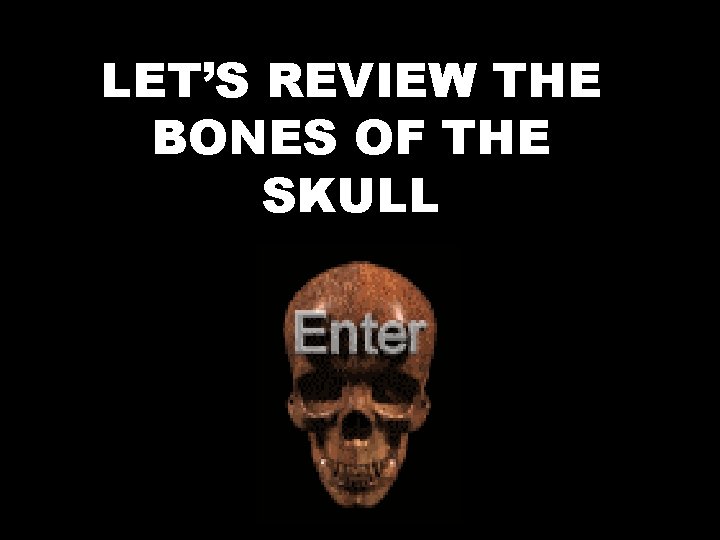 LET’S REVIEW THE BONES OF THE SKULL 