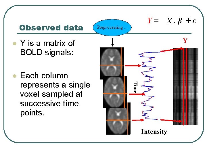 Observed data Y is a matrix of BOLD signals: Each column represents a single
