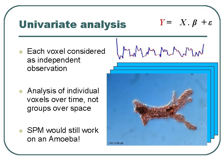 Univariate analysis Each voxel considered as independent observation Analysis of individual voxels over time,