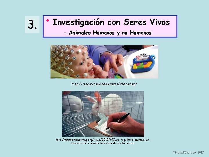 3. • Investigación con Seres Vivos - Animales Humanos y no Humanos http: //research.