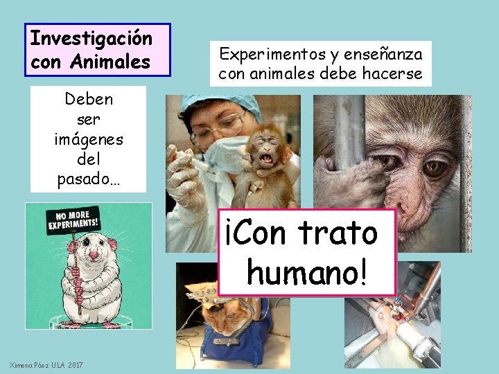 Investigación con Animales Experimentos y enseñanza con animales debe hacerse Deben ser imágenes del