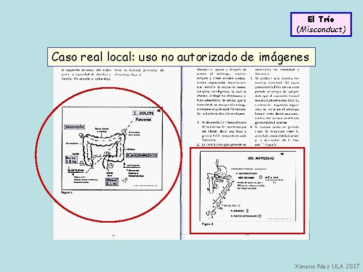 El Trío (Misconduct) Caso real local: uso no autorizado de imágenes Ximena Páez ULA