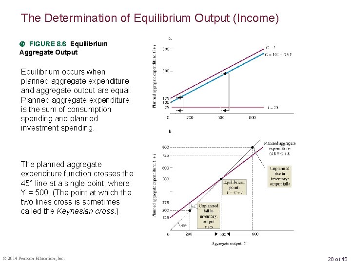 The Determination of Equilibrium Output (Income) FIGURE 8. 6 Equilibrium Aggregate Output Equilibrium occurs