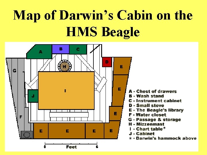 Map of Darwin’s Cabin on the HMS Beagle 