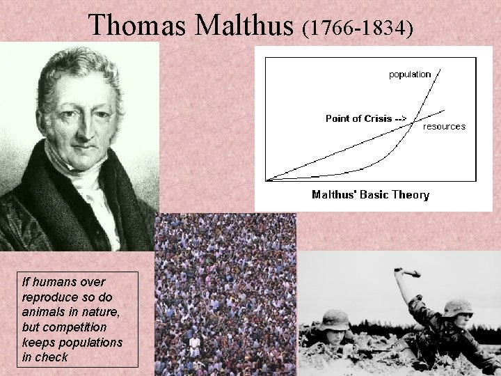 Thomas Malthus (1766 -1834) If humans over reproduce so do animals in nature, but