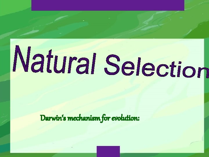 Darwin’s mechanism for evolution: 