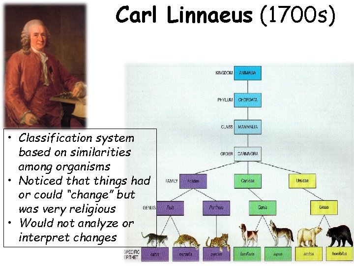 Carl Linnaeus (1700 s) • Classification system based on similarities among organisms • Noticed