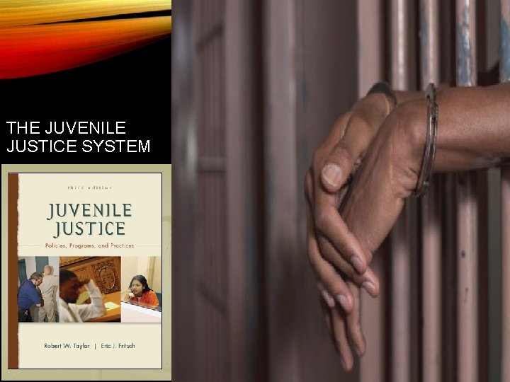 THE JUVENILE JUSTICE SYSTEM 