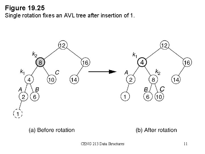 Figure 19. 25 Single rotation fixes an AVL tree after insertion of 1. CENG