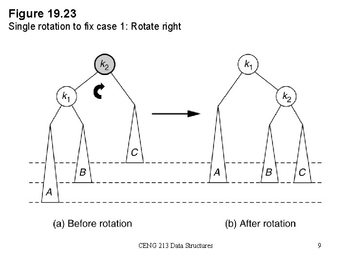 Figure 19. 23 Single rotation to fix case 1: Rotate right CENG 213 Data