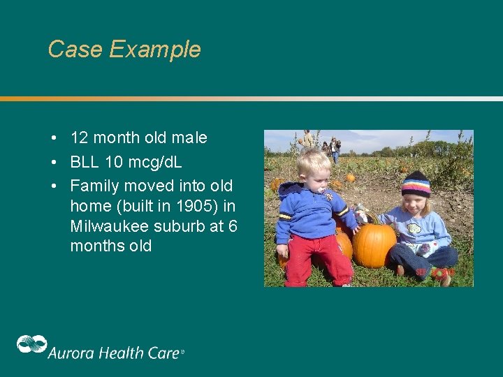 Case Example • 12 month old male • BLL 10 mcg/d. L • Family Case Example • 12 month old male • BLL 10 mcg/d. L • Family