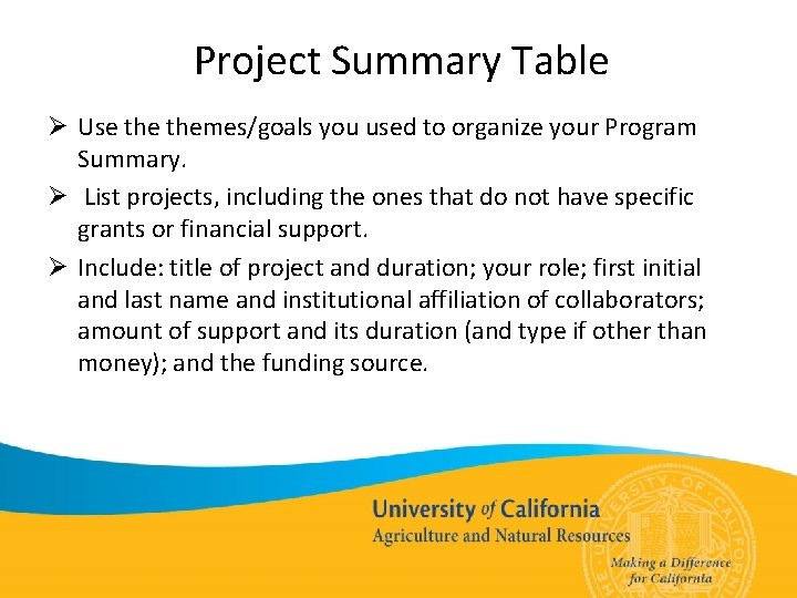 Project Summary Table Ø Use themes/goals you used to organize your Program Summary. Ø