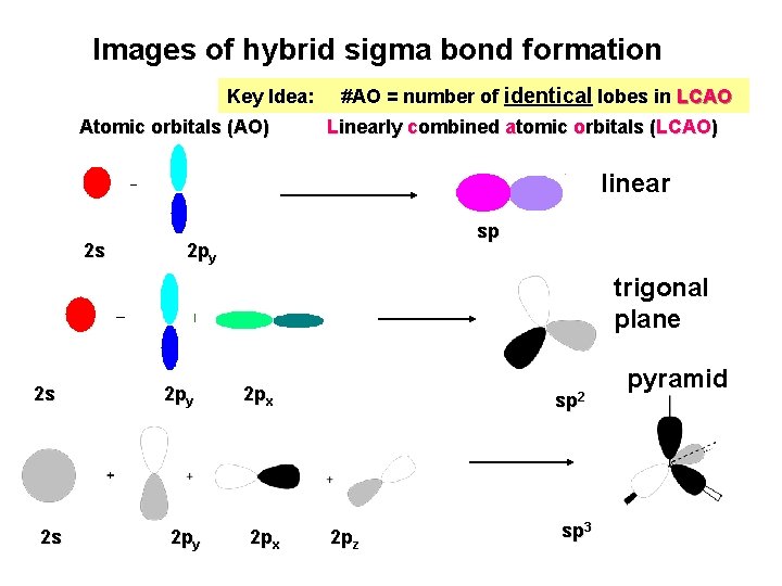 Images of hybrid sigma bond formation Key Idea: Atomic orbitals (AO) #AO = number