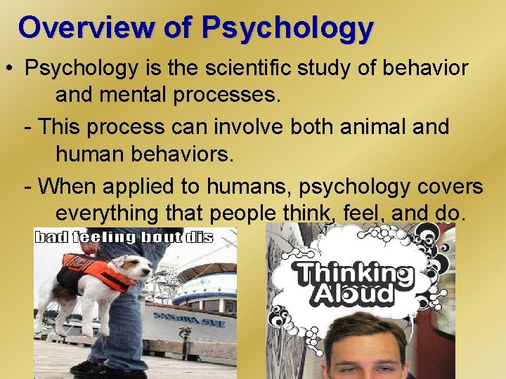 Overview of Psychology • Psychology is the scientific study of behavior and mental processes.