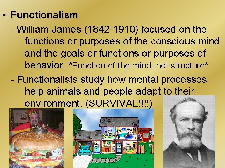  • Functionalism - William James (1842 -1910) focused on the functions or purposes