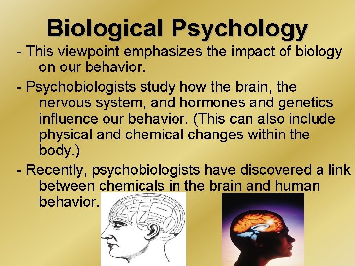 Biological Psychology - This viewpoint emphasizes the impact of biology on our behavior. -