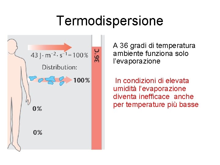 Termodispersione A 36 gradi di temperatura ambiente funziona solo l’evaporazione In condizioni di elevata