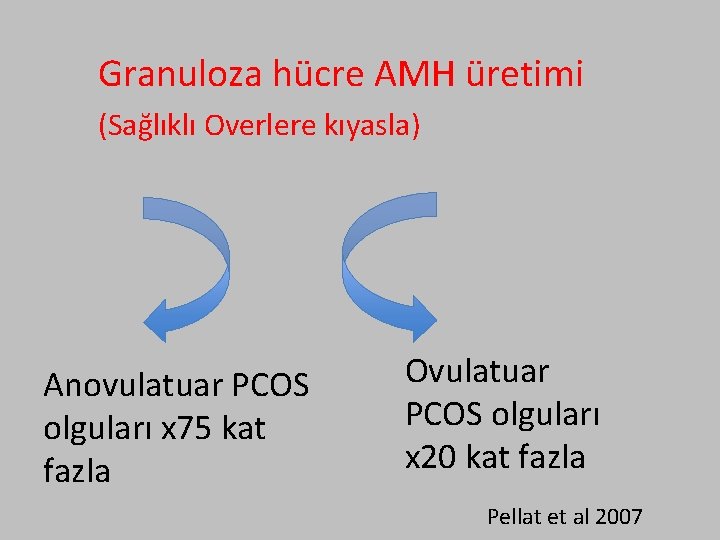 Granuloza hücre AMH üretimi (Sağlıklı Overlere kıyasla) Anovulatuar PCOS olguları x 75 kat fazla