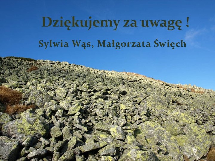 Dziękujemy za uwagę ! Sylwia Wąs, Małgorzata Święch 