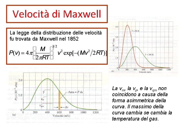 Velocità di Maxwell La legge della distribuzione delle velocità fu trovata da Maxwell nel