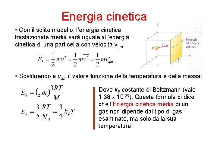 Energia cinetica • Con il solito modello, l’energia cinetica traslazionale media sarà uguale all’energia