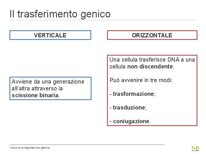 Il trasferimento genico VERTICALE ORIZZONTALE Una cellula trasferisce DNA a una cellula non discendente.