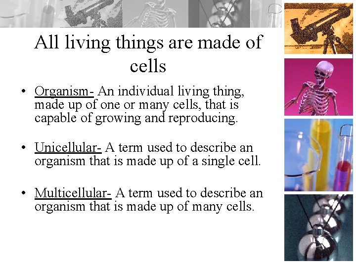 All living things are made of cells • Organism- An individual living thing, made