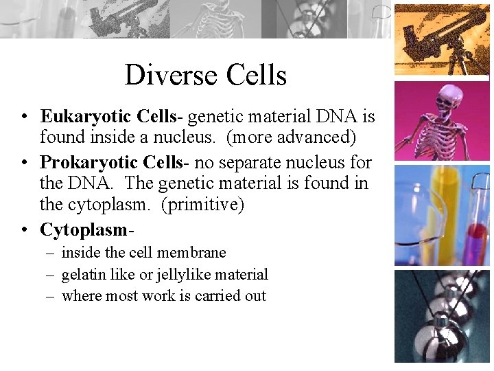 Diverse Cells • Eukaryotic Cells- genetic material DNA is found inside a nucleus. (more