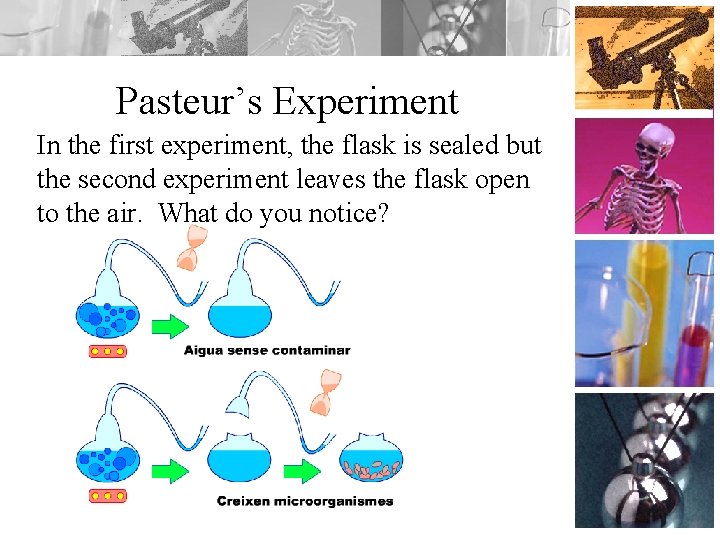 Pasteur’s Experiment In the first experiment, the flask is sealed but the second experiment