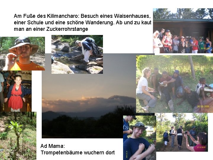 Am Fuße des Kilimancharo: Besuch eines Waisenhauses, einer Schule und eine schöne Wanderung. Ab