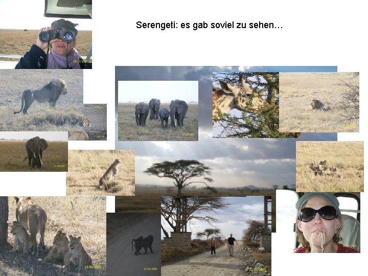 Serengeti: es gab soviel zu sehen… 