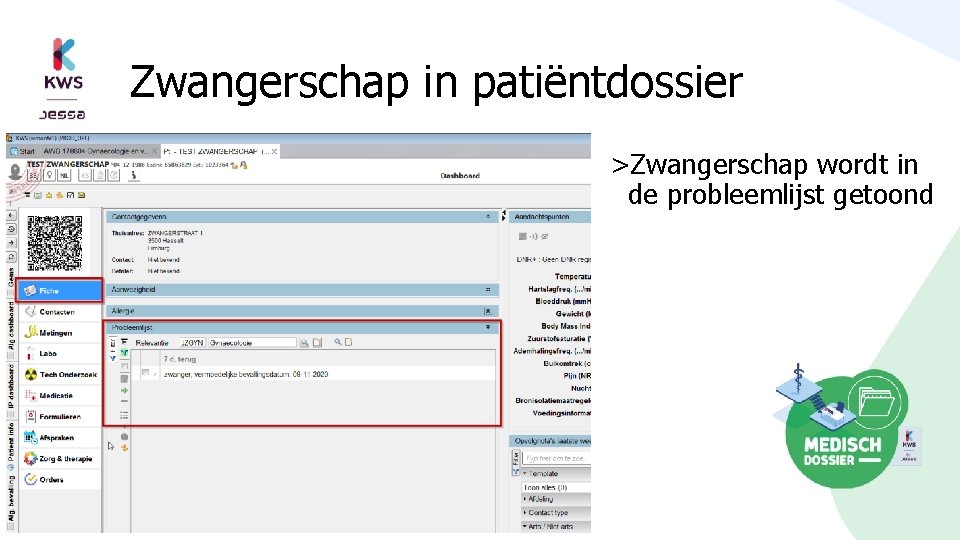 Zwangerschap in patiëntdossier >Zwangerschap wordt in de probleemlijst getoond 