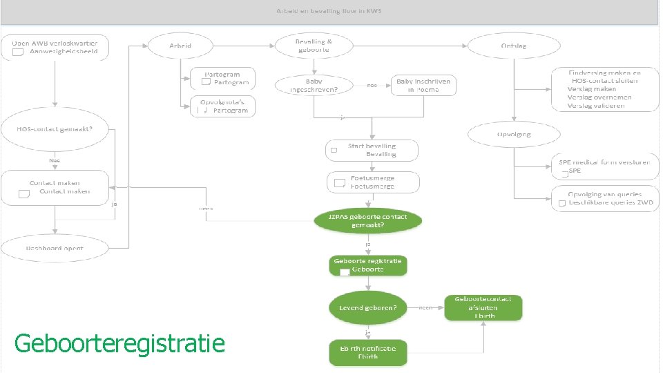 Geboorteregistratie 