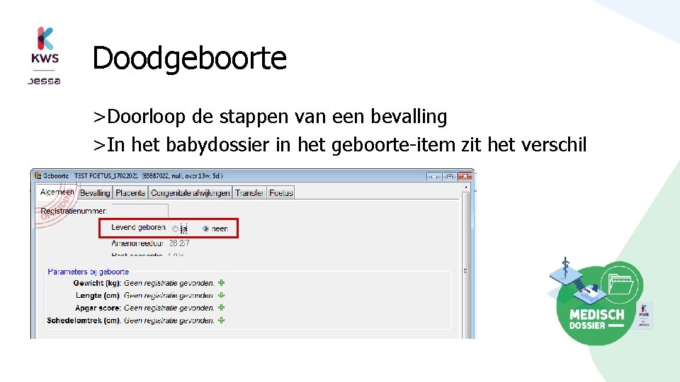 Doodgeboorte >Doorloop de stappen van een bevalling >In het babydossier in het geboorte-item zit