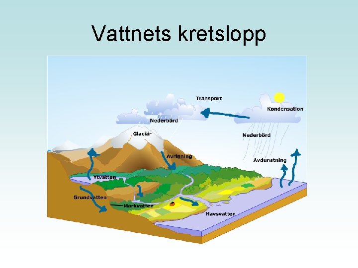 Vattnets kretslopp 