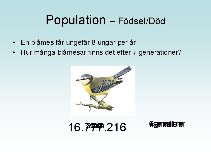 Population – Födsel/Död • En blåmes får ungefär 8 ungar per år • Hur