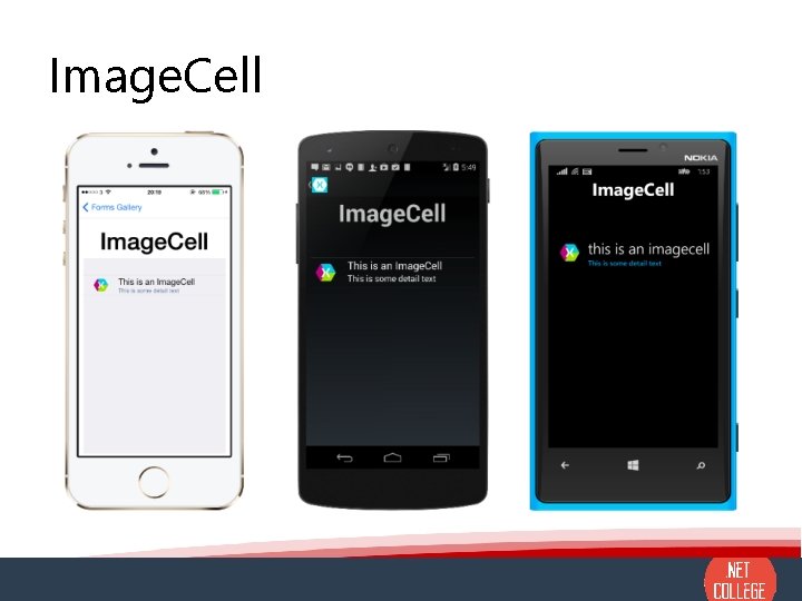 Image. Cell 
