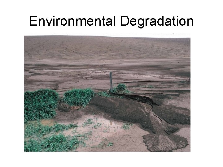 Environmental Degradation 