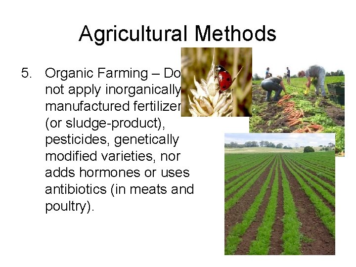 Agricultural Methods 5. Organic Farming – Does not apply inorganically manufactured fertilizers (or sludge-product),