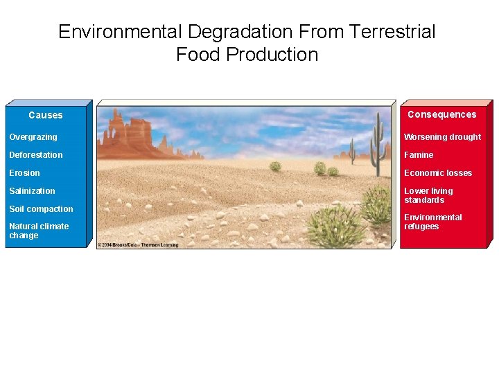 Environmental Degradation From Terrestrial Food Production Causes Consequences Overgrazing Worsening drought Deforestation Famine Erosion