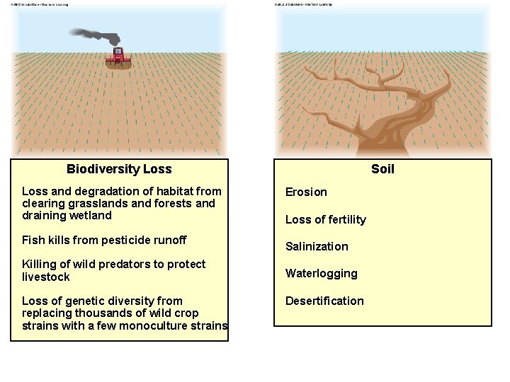 Biodiversity Loss and degradation of habitat from clearing grasslands and forests and draining wetland